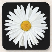 White Daisy Flower on Black Floral Bier Onderzetter (Voorkant)
