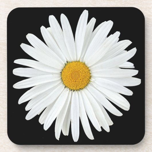 White Daisy Flower on Black Floral Bier Onderzetter (Voorkant)