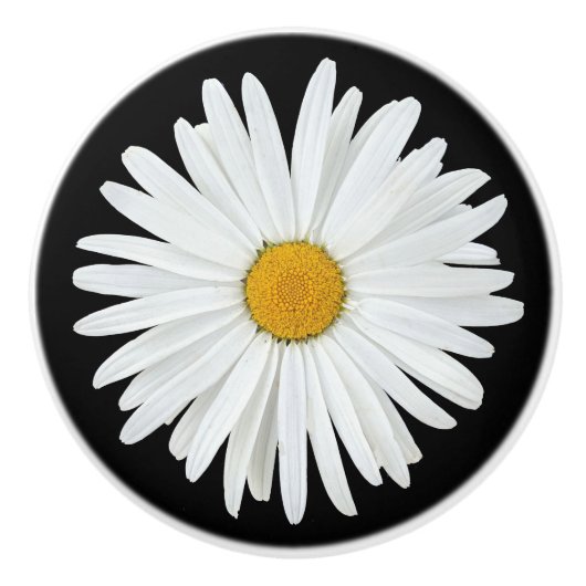 White Daisy Flower on Black Floral Keramische Knop (Voorkant)