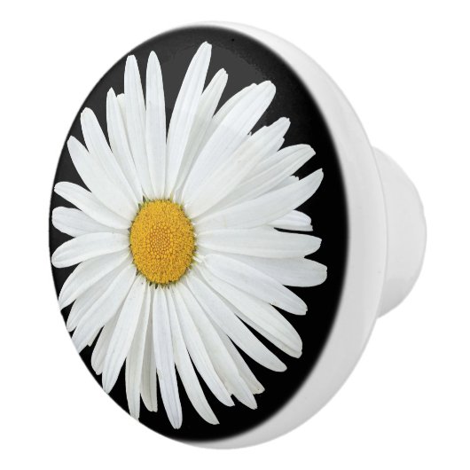 White Daisy Flower on Black Floral Keramische Knop (Rechts)