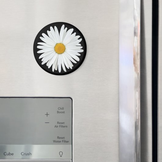 White Daisy Flower on Black Floral Magneet (Insitu (Koelkast))