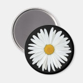 White Daisy Flower on Black Floral Magneet (Voorkant / Achterkant)