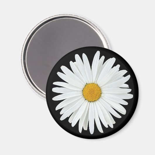 White Daisy Flower on Black Floral Magneet (Voorkant / Achterkant)