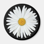 White Daisy Flower on Black Floral Magneet (Voorkant)