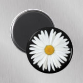 White Daisy Flower on Black Floral Magneet