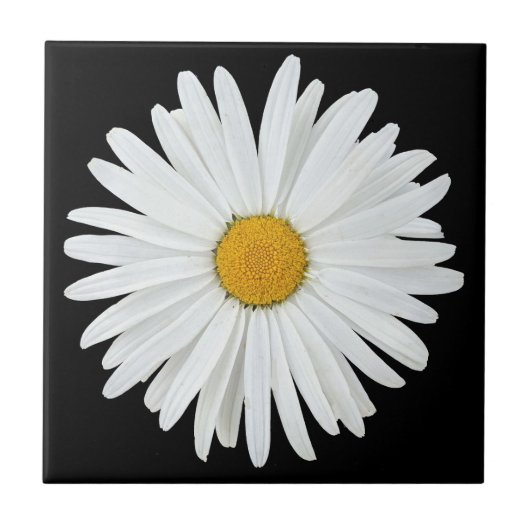 White Daisy Flower on Black Floral Tegeltje (Voorkant)