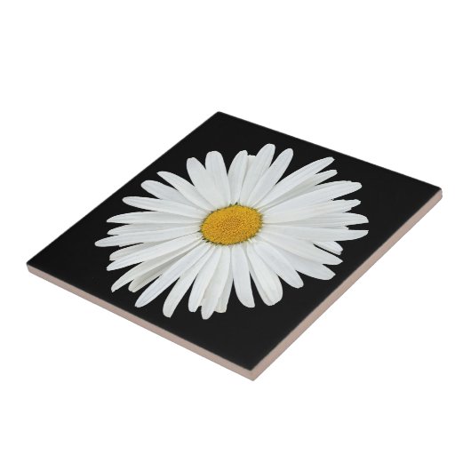 White Daisy Flower on Black Floral Tegeltje (Zijkant)