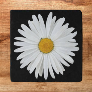 White Daisy Flower on Black Floral Trivet