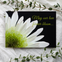 White Daisy Flower on Black Wedding