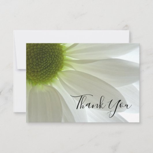 White Daisy Flower Petals Dank je Bedankkaart (Voorkant)