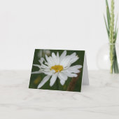 White Daisy Flower Photography Note Kaart (Voorkant)