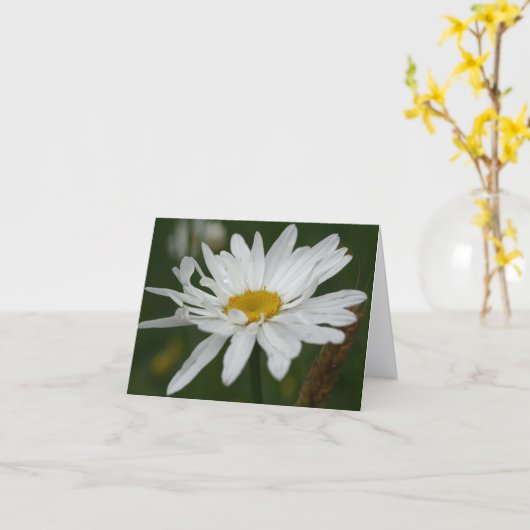 White Daisy Flower Photography Note Kaart (Gele Bloem)