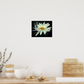 White Daisy Flower Poster (Keuken)
