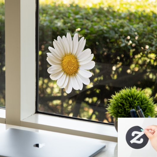 White Daisy Flower Raamsticker (Kantoor)