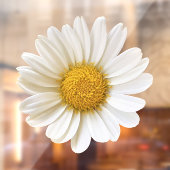 White Daisy Flower Raamsticker (Vel 2)