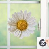 White Daisy Flower Raamsticker (Huis)