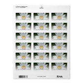 White Daisy Flower Return-adres Etiket (Full Sheet)