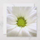 white daisy flower weddings kaart (Achterkant)