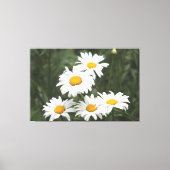 White Daisy Flowers Canvas Afdruk (Voorkant)