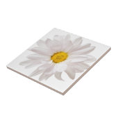 White Daisy Flowers Daisies Flower Floral Sjabloon Tegeltje (Zijkant)
