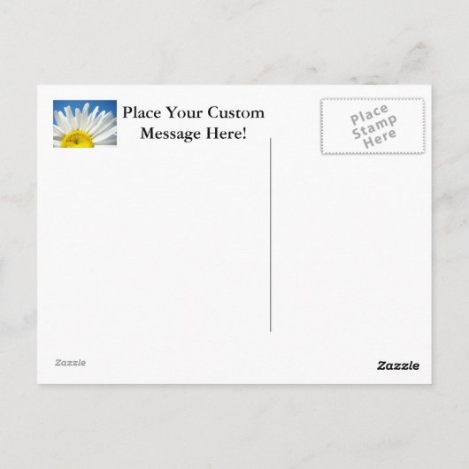 White Daisy Flowers Garden briefkaarten Blue Sky (Achterkant)