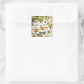 White Daisy Flowers - Schilder Art Sticker (Tas)