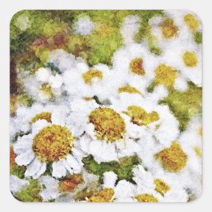 White Daisy Flowers - Schilder Art Sticker