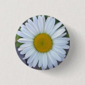 White Daisy-foto Ronde Button 3,2 Cm (Voorkant)