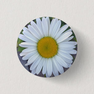 White Daisy-foto Ronde Button 3,2 Cm