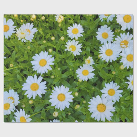 White Daisy Garden Cadeaupapier (Vlak)