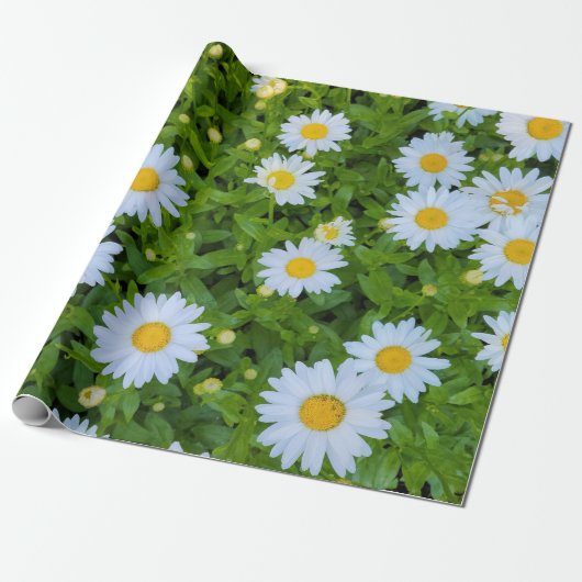 White Daisy Garden Cadeaupapier (Uitgerold)