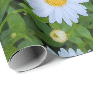 White Daisy Garden Cadeaupapier