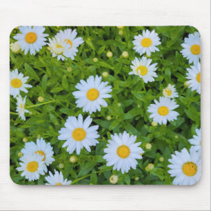 White Daisy Garden Muismat