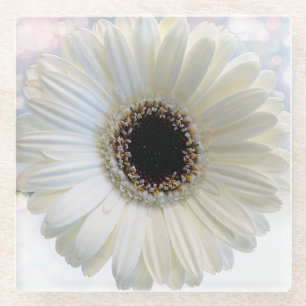 White Daisy Glazen Onderzetter