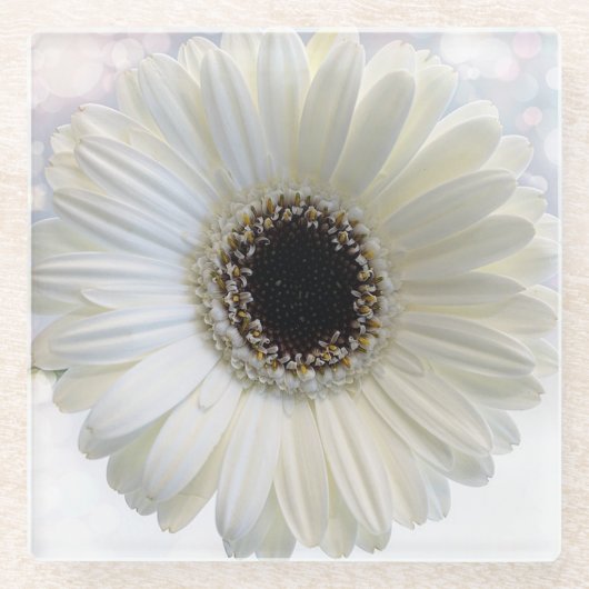 White Daisy Glazen Onderzetter (Voorkant)