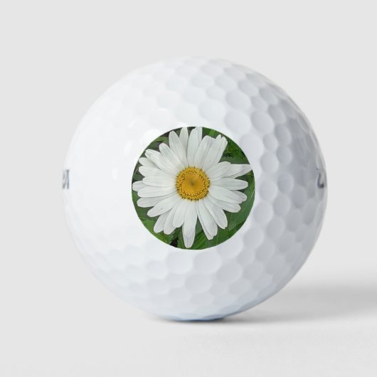 White Daisy Golfballen (Voorkant)