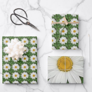 White Daisy Inpakpapier Vel