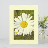 White Daisy Kaart (Staand voorkant)