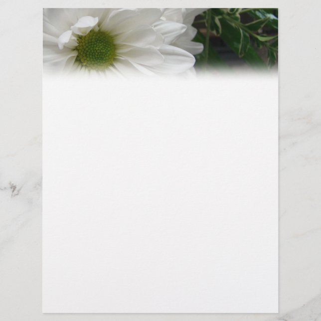White Daisy Letterhead (Voorkant)