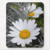 White Daisy Muismat (Voorkant)
