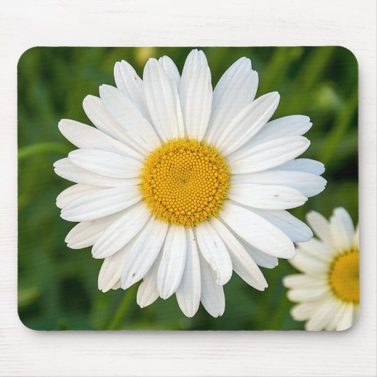 White Daisy Muismat (Voorkant)