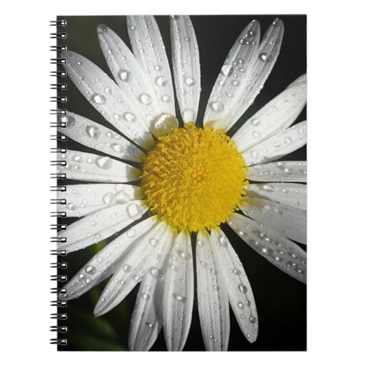 White Daisy Notitieboek (Voorkant)