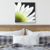 White Daisy on Black Canvas Afdruk (Insitu (Slaapkamer))