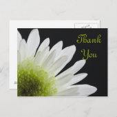 White Daisy on Black Dank je Briefkaart (Voorkant / Achterkant)