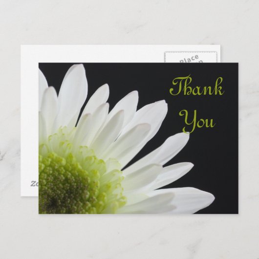 White Daisy on Black Dank je Briefkaart (Voorkant / Achterkant)