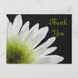 White Daisy on Black Dank je Briefkaart