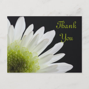 White Daisy on Black Dank je Briefkaart