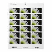 White Daisy on Black Weddenschap Bedankt voor de t Etiket (Full Sheet)
