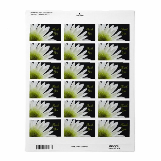 White Daisy on Black Weddenschap Bedankt voor de t Etiket (Full Sheet)