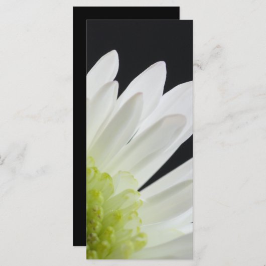 White Daisy on Black Wedding Program Programmakaart (Voorkant / Achterkant)